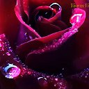 ���� ��, ������ - ��������� 19 ����� 2018 � ������ ���� ����������