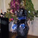 ���� ���������, �������� - ��������� 31 ������� 2017 � ������ ���� ����������