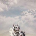 ���� ������, ������, 62 ���� - ��������� 26 ���� 2018 � ������ ���� ����������