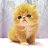 ���� ~ &hearts;Sne���� Blondink@&hearts; ~, ����� - ��������� 3 ����� 2018