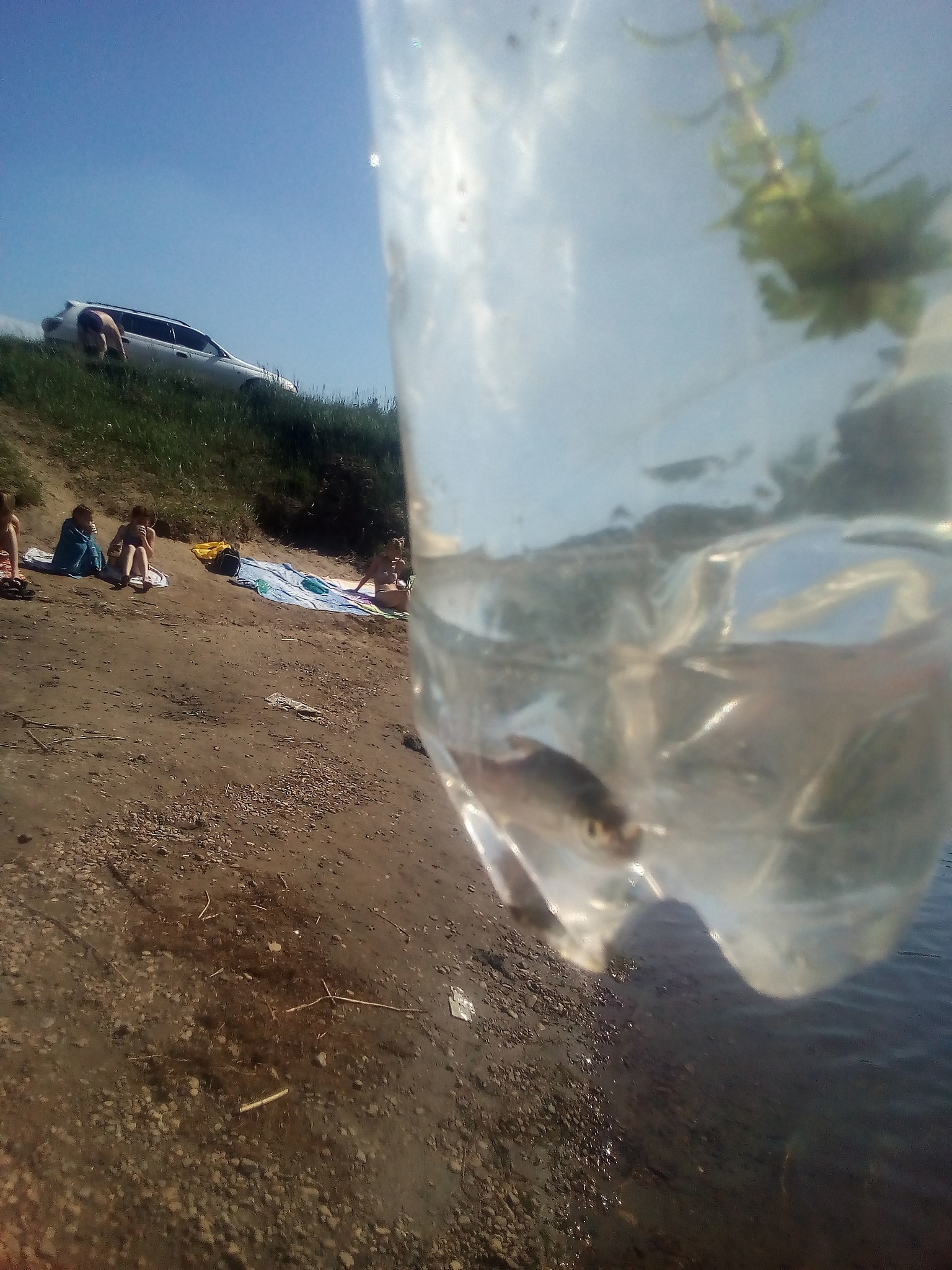 ***Victoria Viktorovna*** - 12  2018  15:40 - 2