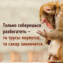 ���� �����, �������� - ��������� 19 ��� 2018 � ������ ���� ����������