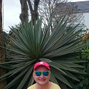 ���� Siroga, �����-���������, 53 ���� - ��������� 8 ������� 2017 � ������ ������ ��������