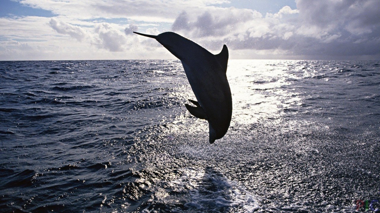 ��� - 8 ������ 2018 � 22:54