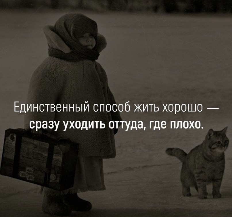 Красиво сказано . . . - 29 мая 2018 в 02:56