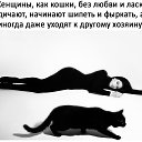 ���� ������, �����-��������� - ��������� 20 ������ 2017 � ������ ������ ��������