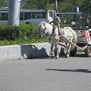 ���� �������, ��������, 47 ��� - ��������� 12 ����� 2018 � ������ �����������