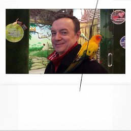 ���� ������, ������������, 65 ��� - ��������� 15 ������ 2018