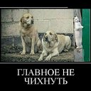 ���� �������, �����, 55 ��� - ��������� 21 ������� 2017 � ������ ������ ��������