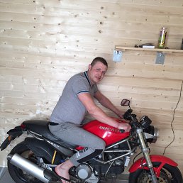 �������, �����-���������, 38 ���