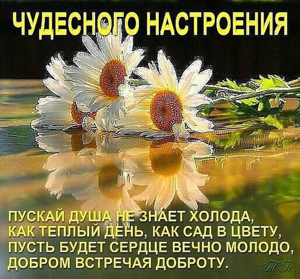 Я вам желаю в жизни быстротечной.Приятных встреч и теплых вечеров, И чтоб горели свечи, и конечно, ...