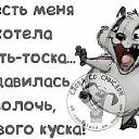 ���� �����, ������, 59 ��� - ��������� 16 ������� 2017 � ������ ������ ��������