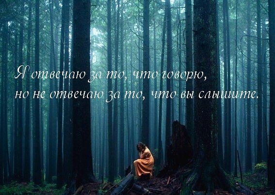 ��������� - 5 ����� 2018 � 18:48 - 9