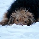 ���� ������, ������, 49 ��� - ��������� 11 ������� 2018 � ������ �������� SONY 75-300 + �����