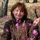 ���� �������� ��������, ������������, 58 ��� - ��������� 1 ��� 2018 � ������ ���� ����������