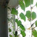 ���� �����, ������, 64 ���� - ��������� 29 ������� 2017 � ������ ���� ����������