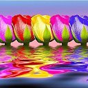 ���� �����, ����, 69 ��� - ��������� 2 ������ 2018 � ������ ������ ��������