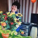 ���� �����, ������ - ��������� 28 ������� 2017 � ������ ������ ��������