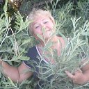 ���� ������, ��������, 64 ���� - ��������� 6 ������� 2018 � ������ ���� ����������