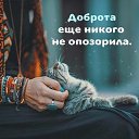 ���� ������, �����-���������, 52 ���� - ��������� 2 ������ 2018 � ������ ������ ��������