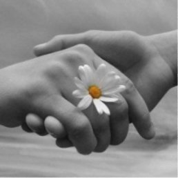 �����, ����������