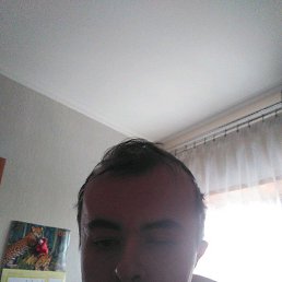 ���� �����, ������, 36 ��� - ��������� 18 ������� 2018