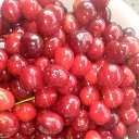 ���� ����, ���������� - ��������� 18 ��� 2018 � ������ ���������������