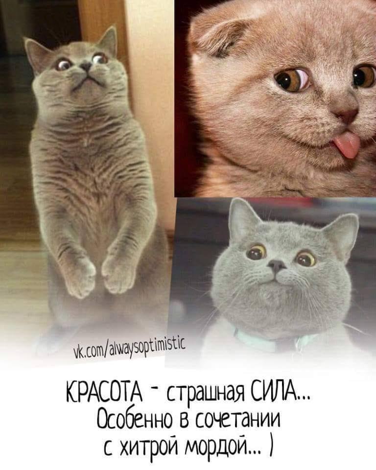 )))