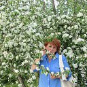 ���� �������, ������� - ��������� 15 ������ 2018