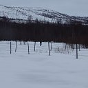 ���� ���������, ������, 44 ���� - ��������� 12 ������ 2018 � ������ ������ ��������