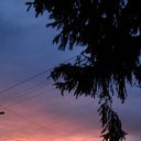 ���� ���������, �����-��������� - ��������� 18 ��� 2018 � ������ ������ ��������