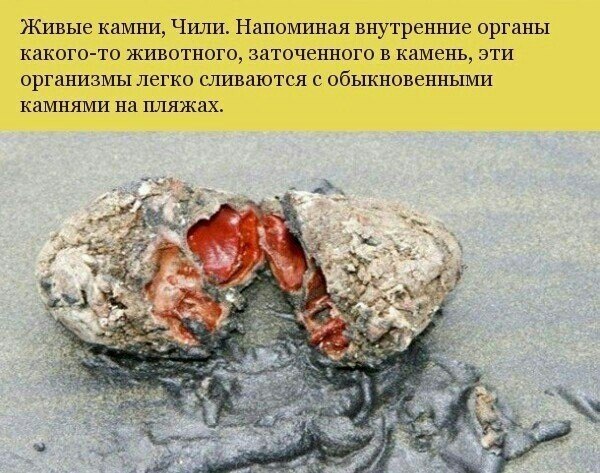 10 невероятных явлений, происходящих на нашей планете - 9