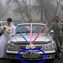 ���� ���������, �������������, 37 ��� - ��������� 23 ������ 2017