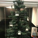 ���� ��� �����, ��� - ��������� 29 ������� 2017 � ������ ������ ��������