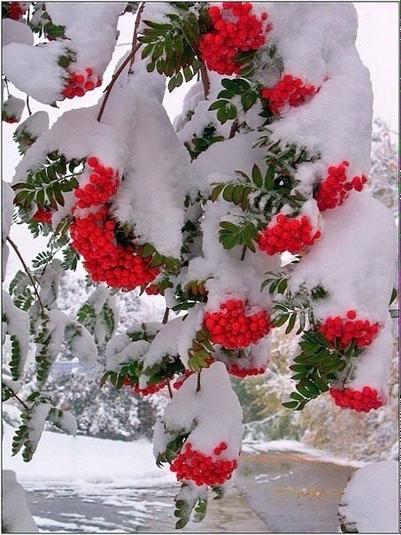 Nuriya - 27  2017  12:55