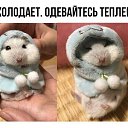 ���� ���������, ���������, 45 ��� - ��������� 12 ������� 2017 � ������ ���� ����������