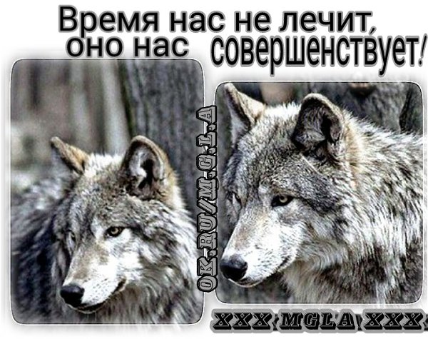    - 3  2017  08:40