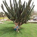 ������...�������� 2018 �. �� ������� ���� ����������