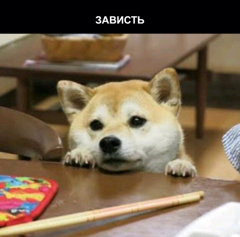 7  . - 3