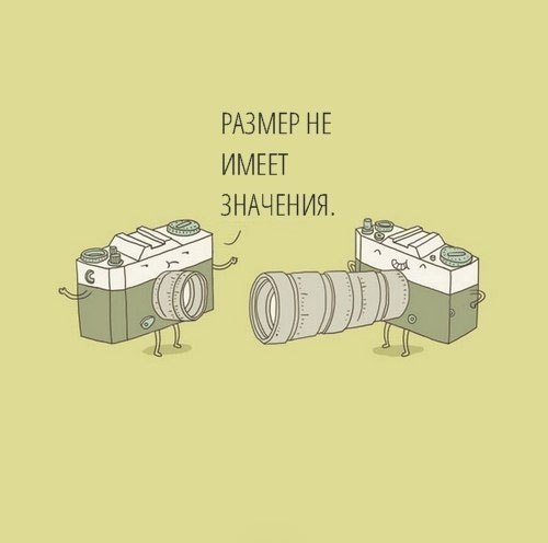 ����� ���� - 6