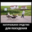 ���� ����, �����������-��-�����, 51 ��� - ��������� 9 ������� 2017 � ������ ������ ��������