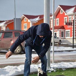 ���, ������, 43 ����