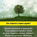 ���� ����, �����-���������, 34 ���� - ��������� 4 ����� 2018 � ������ ������ ��������