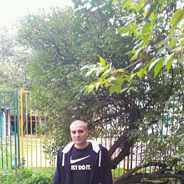 ������, ������, 41 ���