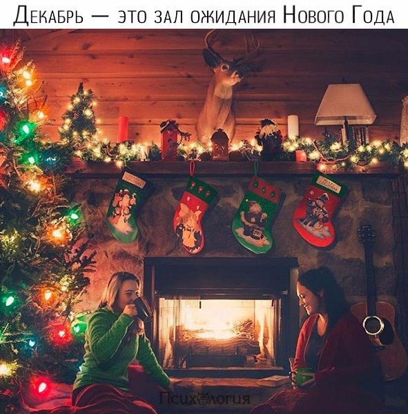  - 6  2017  03:52