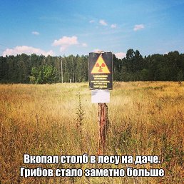 �����, ������, 36 ���