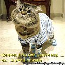 ���� �������, ��������, 40 ��� - ��������� 7 ������ 2018 � ������ �����������