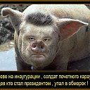 ���� ����, �����-���������, 51 ��� - ��������� 13 ���� 2018