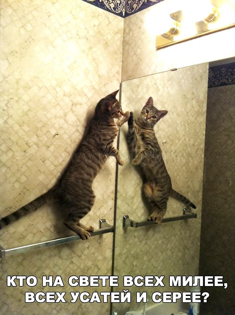    ר! - 28  2018  04:02