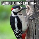 ���� ˸��, ���������� - ��������� 11 ������� 2018 � ������ ������ ��������